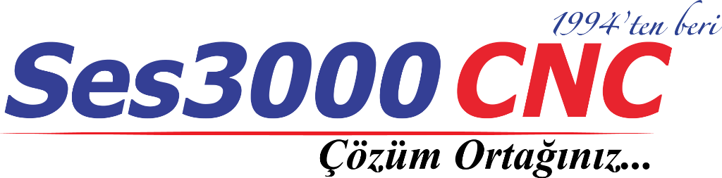 SES 3000